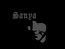 SANYA LOGO 1024/768